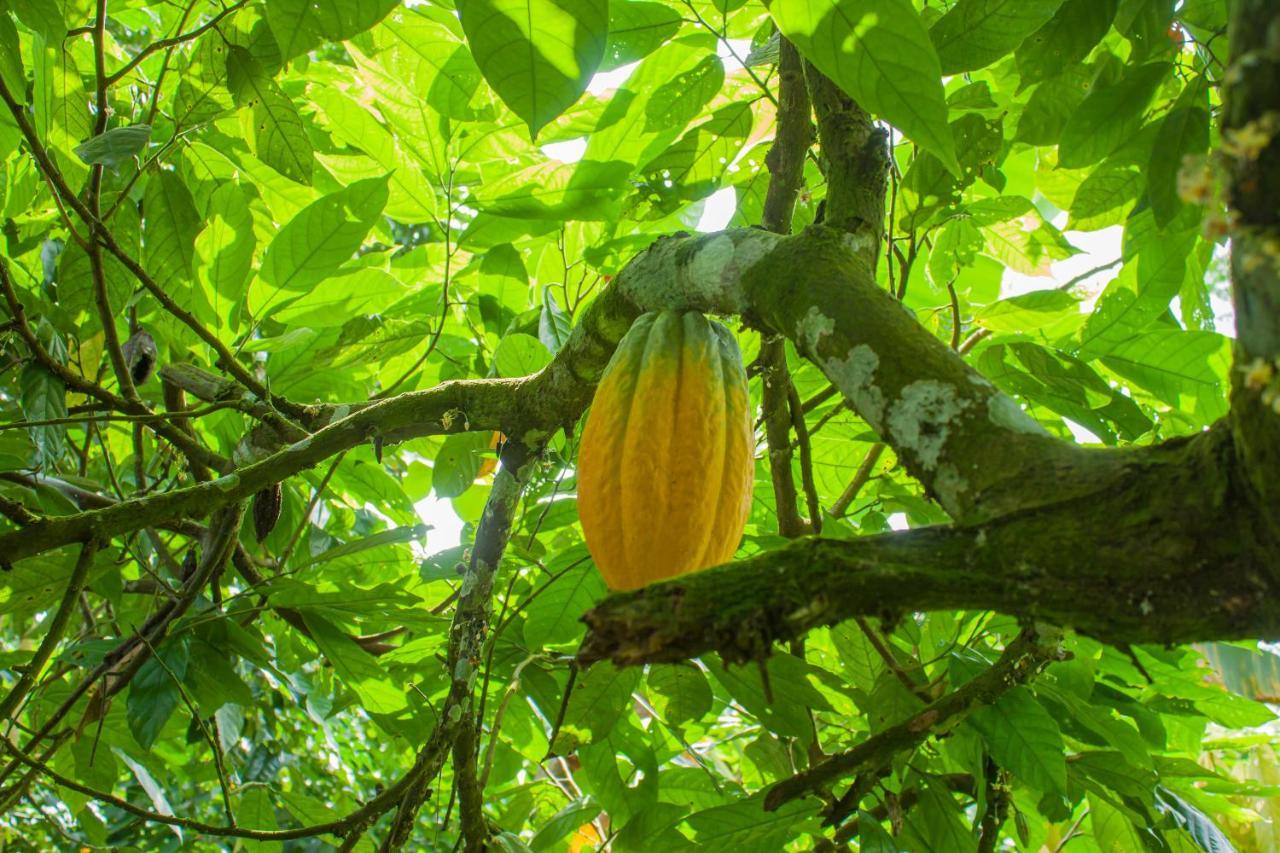 Welfare Agroturismo Milagrosa ภายนอก รูปภาพ