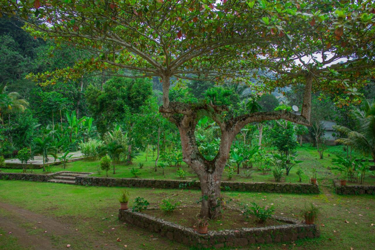 Welfare Agroturismo Milagrosa ภายนอก รูปภาพ