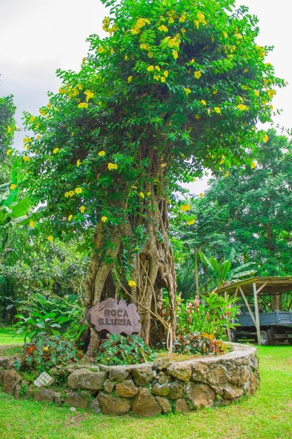 Welfare Agroturismo Milagrosa ภายนอก รูปภาพ